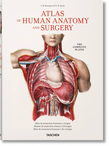 Atlas Of Human Anatomy And Surgery (t.d) -fp-