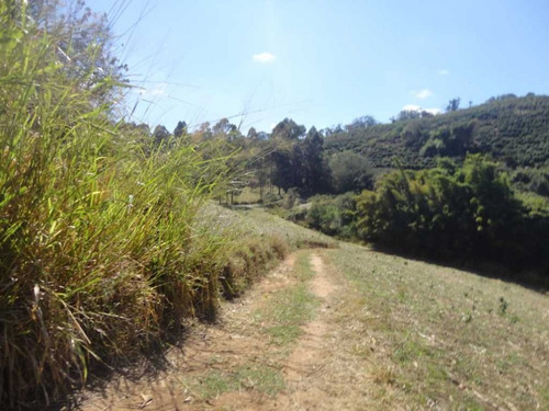 Imagem 13 de 30 de Fazenda De Café Em Monte Sião-mg - 7676