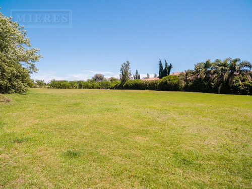 Imagen 8 de 15 de Lote En Venta , La Mejor Orientación Norte, Laguna Central.- La Isla Nordelta