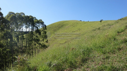 Imagem 3 de 15 de Sitio - Rio Manso - Ref: 271 - V-1694
