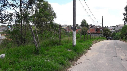 Imagem 2 de 5 de Terreno Em Jardim Elba - Francisco Morato - 140