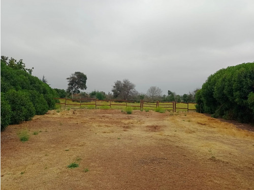 Parcela De 5.000 M² En Venta A Solo 15 Minutos De Concón