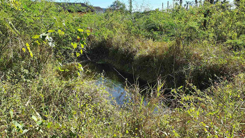 Imagem 7 de 9 de Terreno-para-venda-em-vila-das-palmeiras-morretes-pr - 105