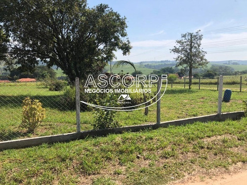 Imagem 5 de 8 de Ótima Chácara Em São Pedro. (código Ch00056) - Ch00056 - 70715263