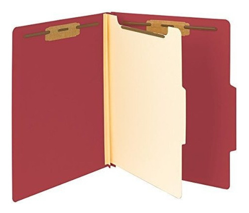 Carpeta De Archivos De Clasificacion De Manchas, 1 Divisor,