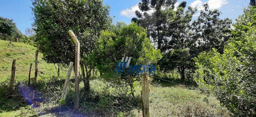 Chácara A Venda Bocaiuva Do Sul Com 2 Alqueires, Casa Mista , Galinheiro, Toda Formada Em Pastagem, Com Nascente, Cercada, Com Linda Vista! - Ch0208