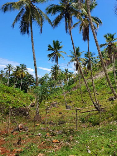 Terreno En Las Terrenas