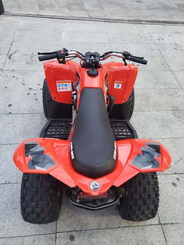 Can-am Ds 90. 2021