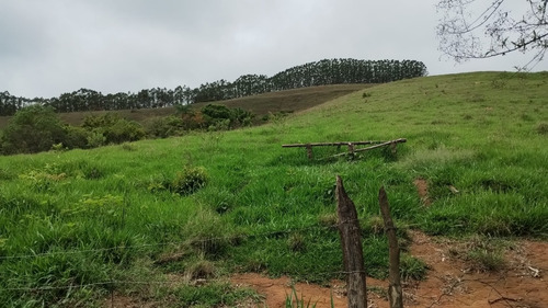Vende-se Sítio Com Área Total De 14.6 Hectares