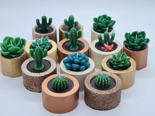 4 Vela Aromatica Cactus Y Suculenta