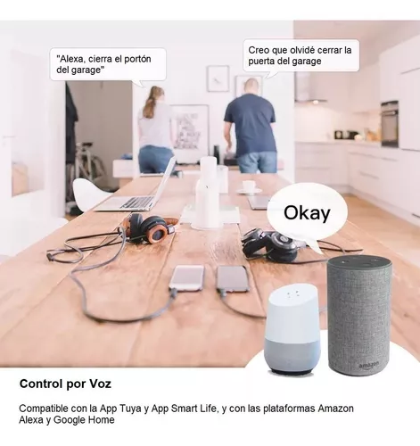 Relé Pulsador Abre Portón Wifi Alexa & Google Home + Imanes