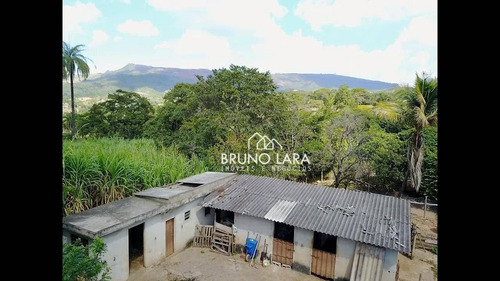 Imagem 2 de 30 de Sítio À Venda Em Igarapé Bairro Jardim Vila Rica - Si0095