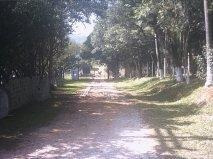 Imagem 3 de 15 de Área Para Venda Em São Bernardo Do Campo, Alvarenga - 4000_1-375672