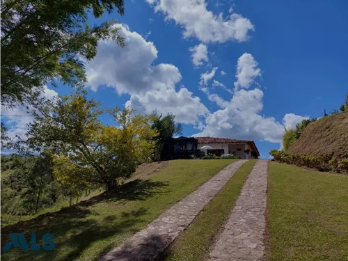 Grandiosa Finca Con Cultivos De Aguacate Hass(mls#247937)