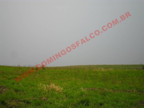 Imagem 14 de 14 de Venda - Área - Zona Rural - Nova Odessa - Sp - D7830