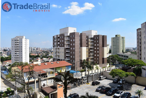 Imagem 25 de 30 de Apartamento Para Aluguel, 2 Dormitórios, Vila Marina - São Paulo - 788
