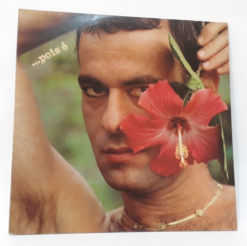 Ney Matogrosso 13 Discos Vinil Lp Coleção Pop Rock Samba Top