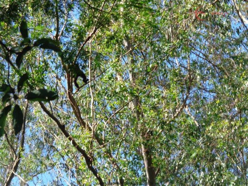 Imagem 18 de 29 de Terrenos Em Loteamento Fechado À Venda Em Mairiporã/sp - Compre O Seu Terrenos Em Loteamento Fechado Aqui! - 1385565