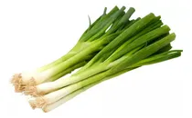 Comprar Semillas De Cebollin Cebolla Larga Germinación Mil Semillas