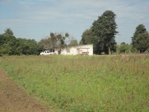 Chacra En Laguna Blanca Formosa A 14 Km De Ruta 86