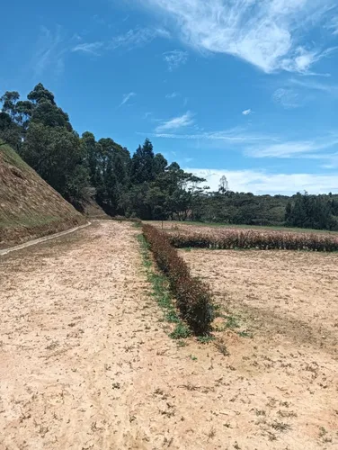 Lote En Rionegro Area 3417m2