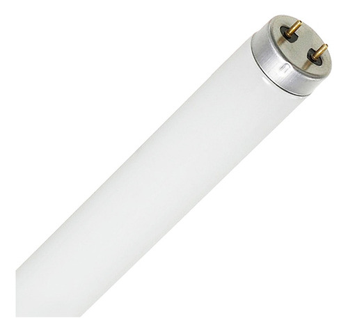 Lâmpada Fluorescente Tubular 16w G13 Branco Frio Kit 2 Peças