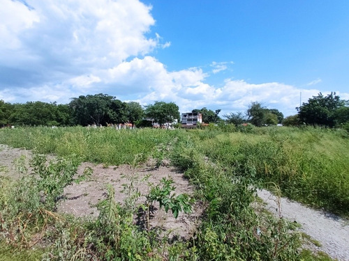 Imagen 7 de 10 de Terreno Venta Res. Palo Negro Casas, Canchas