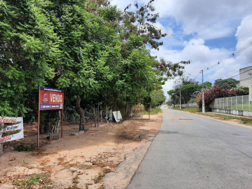 Granja Com 85 Mil M² - Casa Principal Com 3 Dormitórios À Venda - Emaús - Parnamirim/rn - Ch0002 - Ch0002