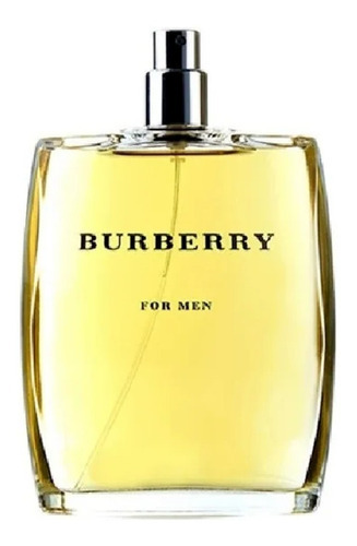 Perfume Burberry Burberry Masculino 100ml Edt Sem Caixa