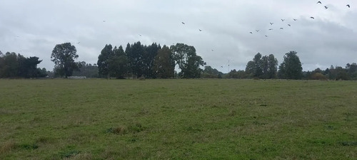 Parcela Agrícola De 4,7 Ha En Purranque-frutillar