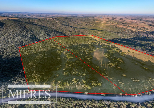 Venta De 30has En Frente A Bodega Garzon, Corredor Turístico (ref: Atm-7646)