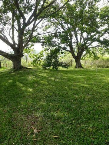 Área À Venda, 17000 M² Por R$ 3.450.000,00 - Vila Mike - São Roque/sp - Ar0326
