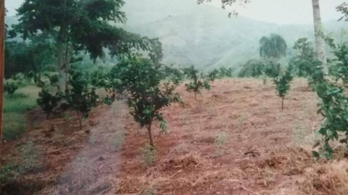 Finca En San Cristobal De 1370 Tareas Con Oro Tasada En 2 Millones Recibimos Permutas