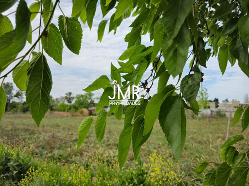 Jmr Propiedades | Calle Calcagno - Villa Rosa | Terreno En Venta