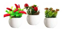 Comprar 3 Mini Suculentas  Flores Artificiais Decorativas Cu002F Vaso