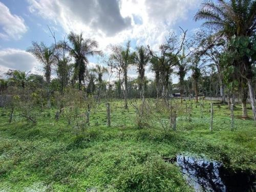 Imagem 5 de 8 de Terreno De Chácara De 7 Mil Metros Itanhaém Litoral Sul Sp