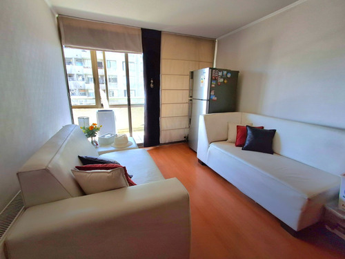 Acogedor Departamento Con Amplia Terraza, Ñuñoa