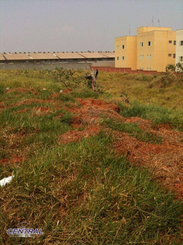Imagem 6 de 11 de Terreno, 5000 M² - Venda Por R$ 10.000.000,00 Ou Aluguel Por R$ 30.000,00/mês - Jardim Novo Horizonte - Sorocaba/sp - Te0002