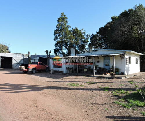 Imagen 6 de 21 de Chacra En Venta, 3 Has En Los Cerrillos, Casa Y Galones, Sobre Ruta!