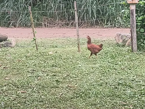 Finca De Descanso