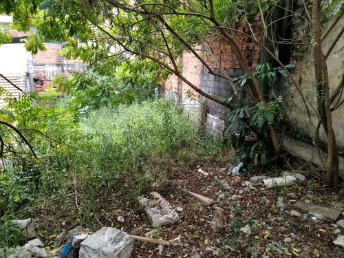 Imagem 3 de 5 de 1283- Terreno Para Locação No Bairro Do Cangaiba 187,50 M²