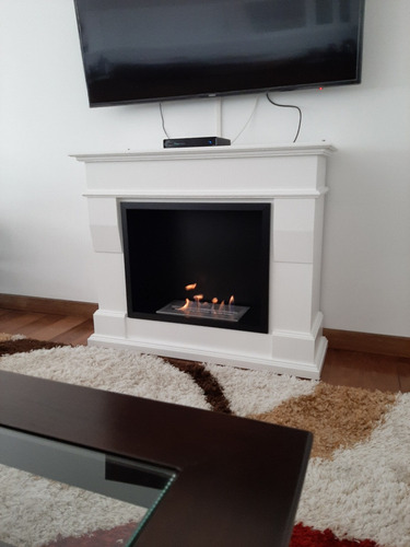 Biohogares Estufas A Bioetanol- Modelo Chimenea - Agente Ofi