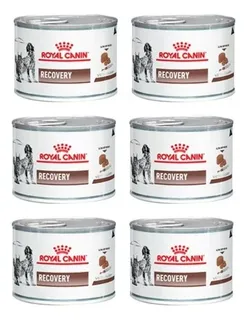 Pack 6 Latas Royal Canin Recovery Humedo Para Gatos O Perros