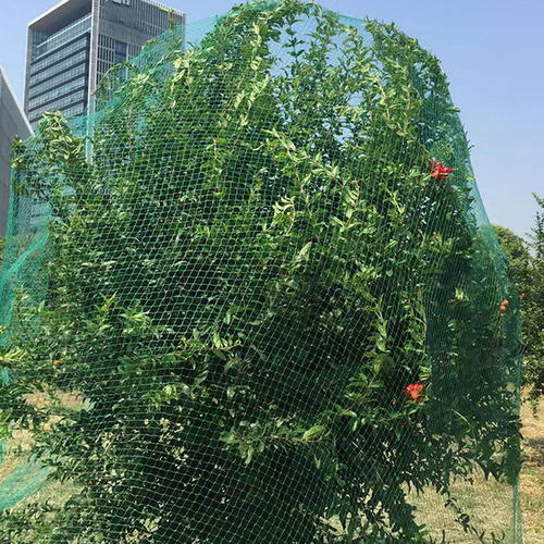 Red De Protección Para Pájaros Para Jardín, Frutas Y Vegetal