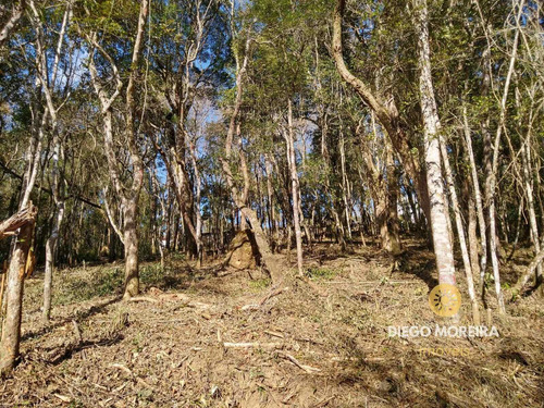Imagem 6 de 12 de Terreno Á Venda Em Condomínio Em Mairiporã - 1.392 M² - Tr07