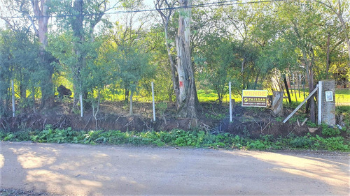 Terreno En  Bella Vista Joven