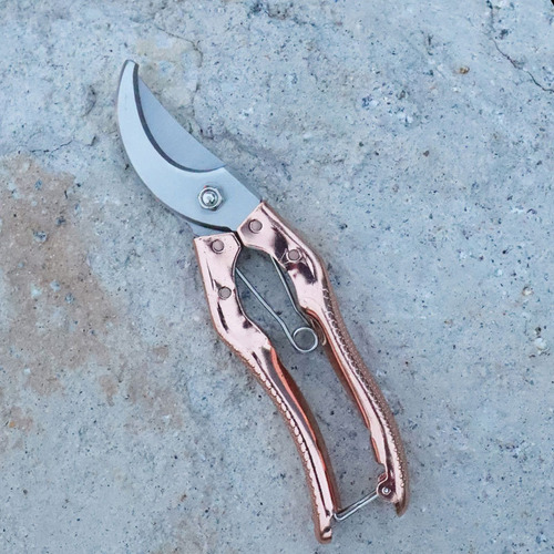 Imagen 9 de 9 de Tijeras De Podar De Acero Con Asas Ergonómicas