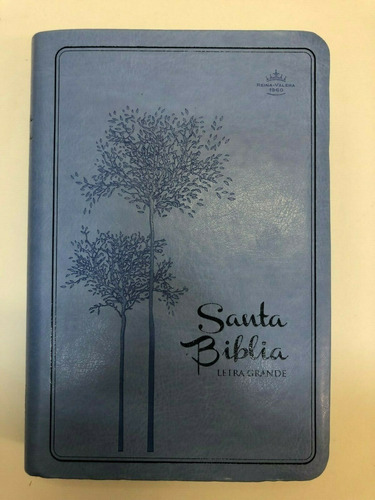 Biblia Mediana Reina Valera 1960 Imitación Piel Azul