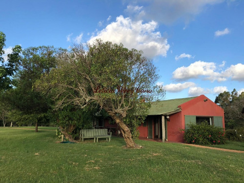 Venta Chacra 8 Has Jose Ignacio - Ref: 19475