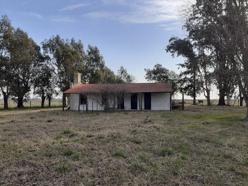 Imagen 2 de 22 de Campo Ganadero En Roque Perez Muy Bien Ubicado